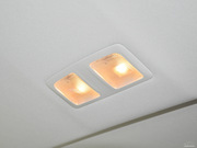 2013 2.0L (bio)(zhn)