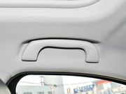 2013 2.0L (bio)(zhn)