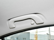 2013 2.0L (bio)(zhn)