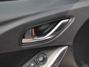 2013 2.0L (bio)(zhn)