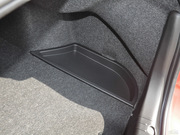 2013 2.0L (bio)(zhn)