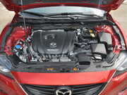 2013 2.0L (bio)(zhn)