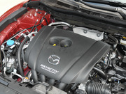 2013 2.0L (bio)(zhn)