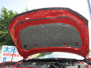 2013 2.0L (bio)(zhn)