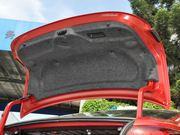 2013 2.0L (bio)(zhn)