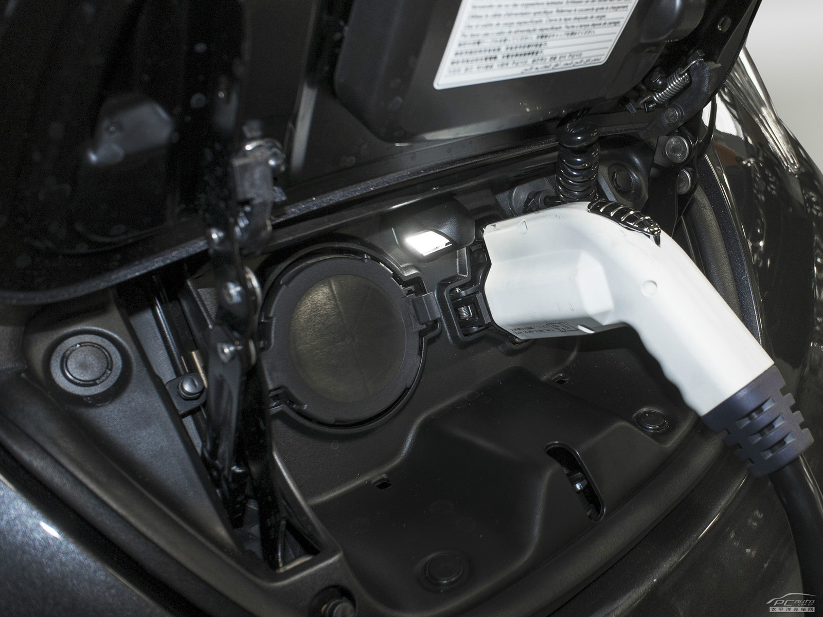 聆風(fēng)Leaf細(xì)節(jié)高清大圖