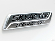 2013 2.0L (bio)(zhn)