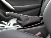 2013 2.0L (bio)(zhn)