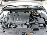 2013 2.0L (bio)(zhn)