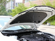 2013 2.0L (bio)(zhn)