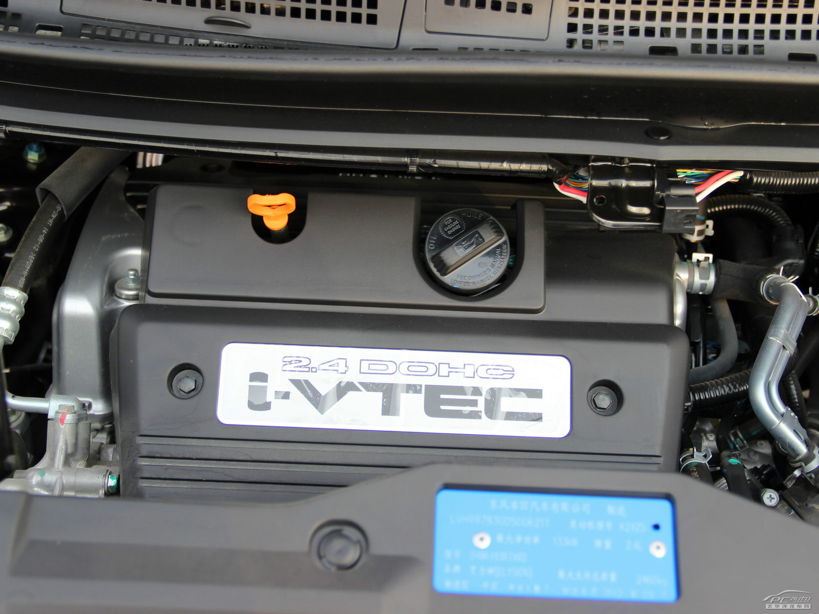 艾力紳細節(jié)高清大圖