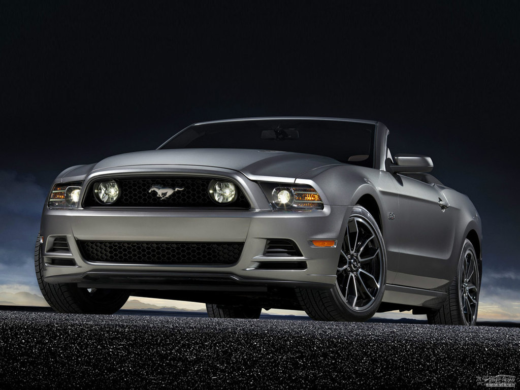 TyMustangl(f)(dng)C(j)(x)(ji)DƬ