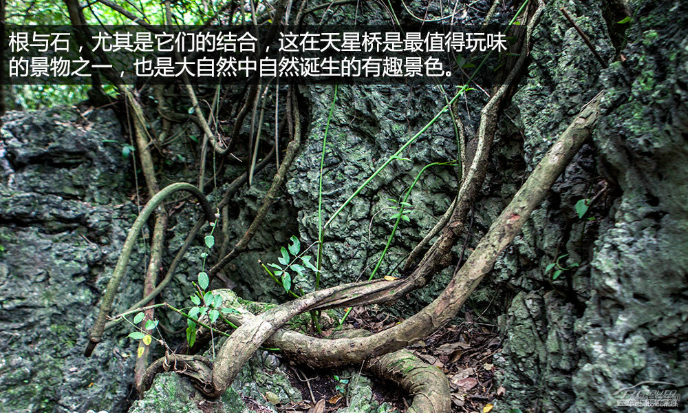 ѩFC4 AIRCROSS(M(jn))DƬ