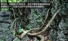 䌍֮ C4 AircrossF{ԇ{