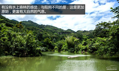 䌍֮ C4 AircrossF{ԇ{