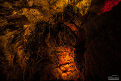 䌍֮ C4 AircrossF{ԇ{