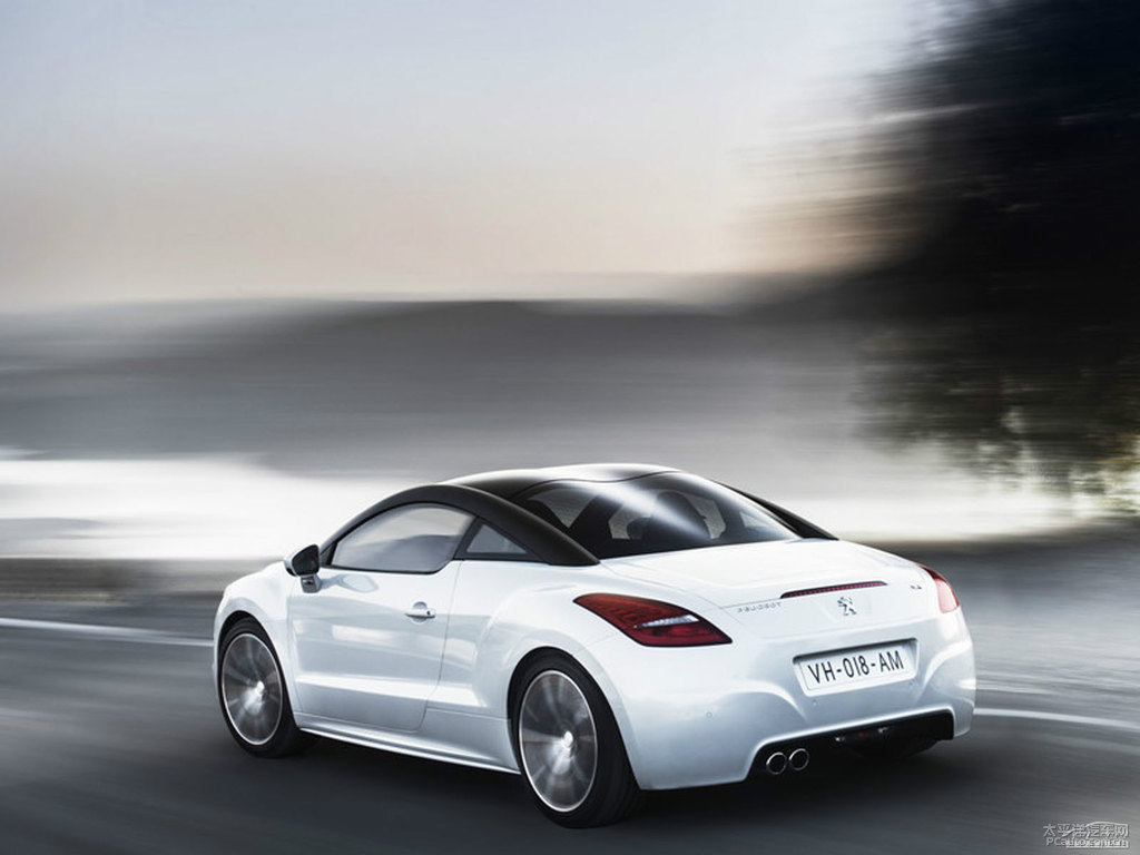 ɫ(bio)RCZ^DƬ