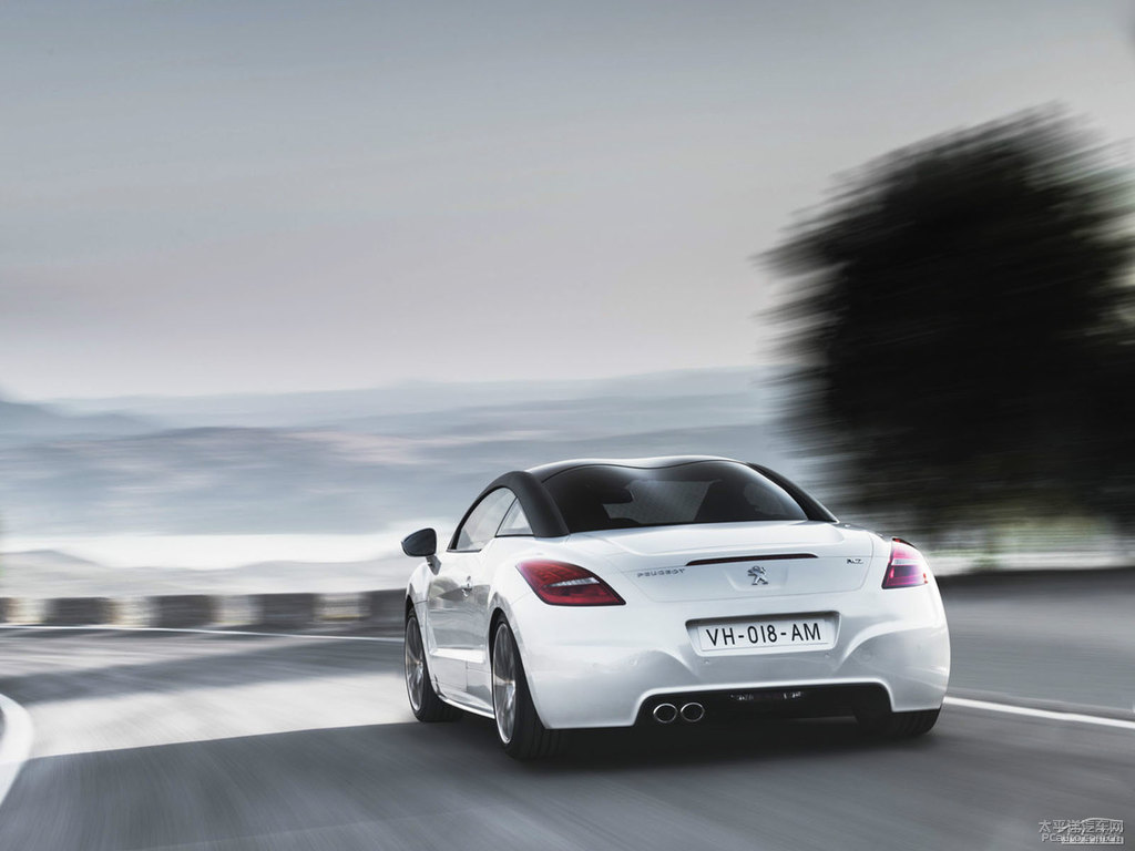 ɫ(bio)RCZ^DƬ