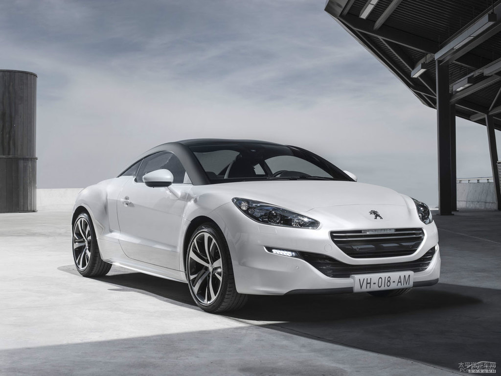 ɫ(bio)RCZ^DƬ