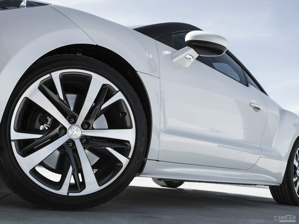 ɫ(bio)RCZ^DƬ