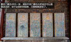 䌍֮ C4 AircrossF{ԇ{