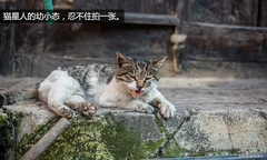 䌍֮ C4 AircrossF{ԇ{