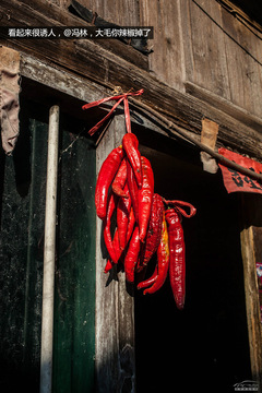 䌍֮ C4 AircrossF{ԇ{