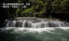 䌍֮ C4 AircrossF{ԇ{