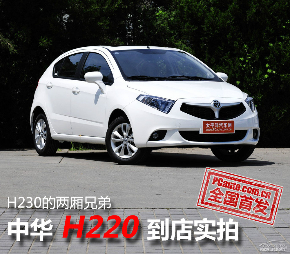 AH220DƬ