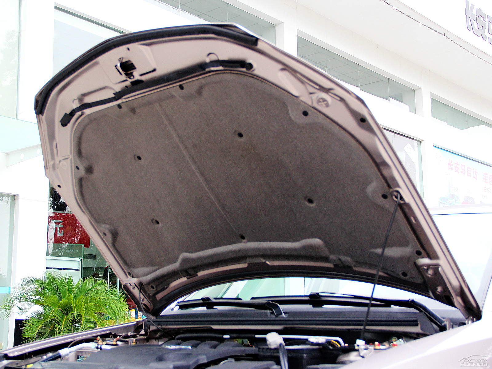 福美來細(xì)節(jié)高清大圖