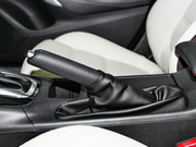 2013 2.0L (bio)(zhn)