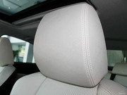 2013 2.0L (bio)(zhn)