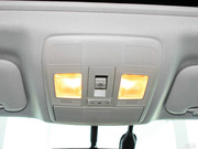 2013 2.0L (bio)(zhn)