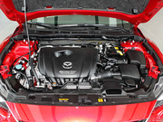 2013 2.0L (bio)(zhn)