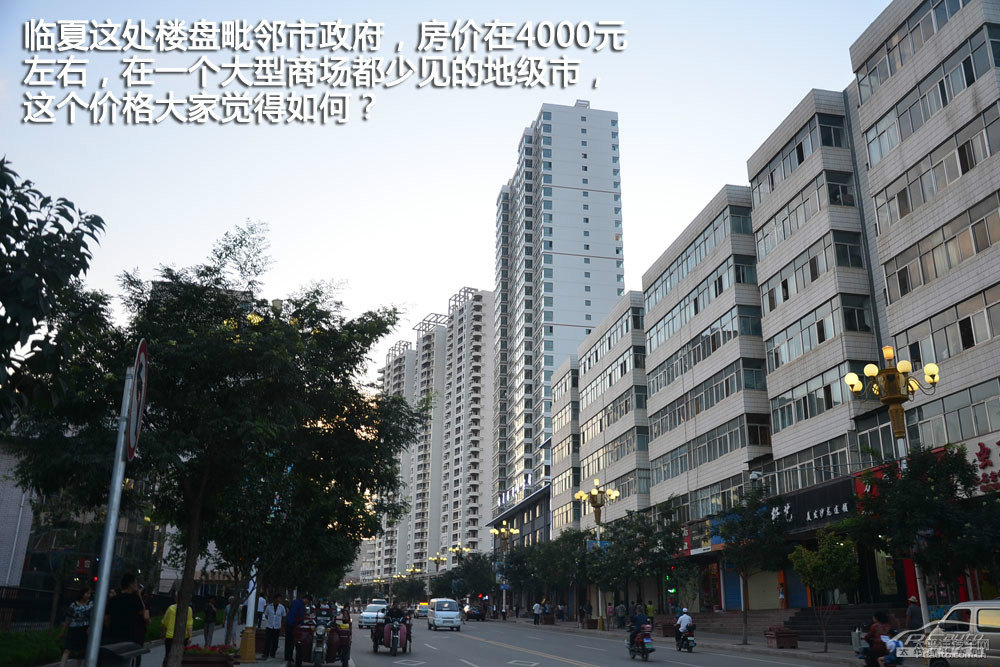 翼虎圖片