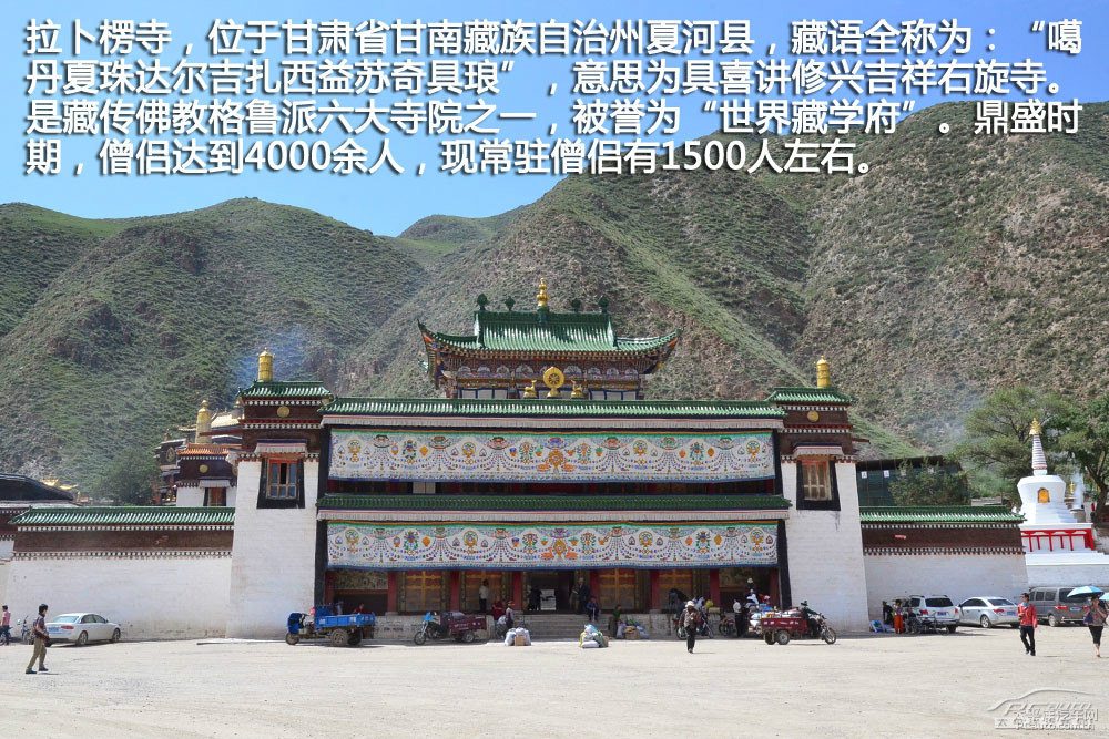 翼虎圖片