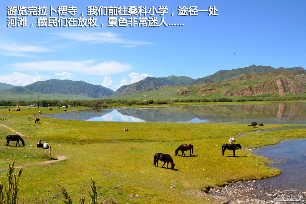翼虎圖片
