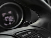 2013 2.0L (bio)(zhn)