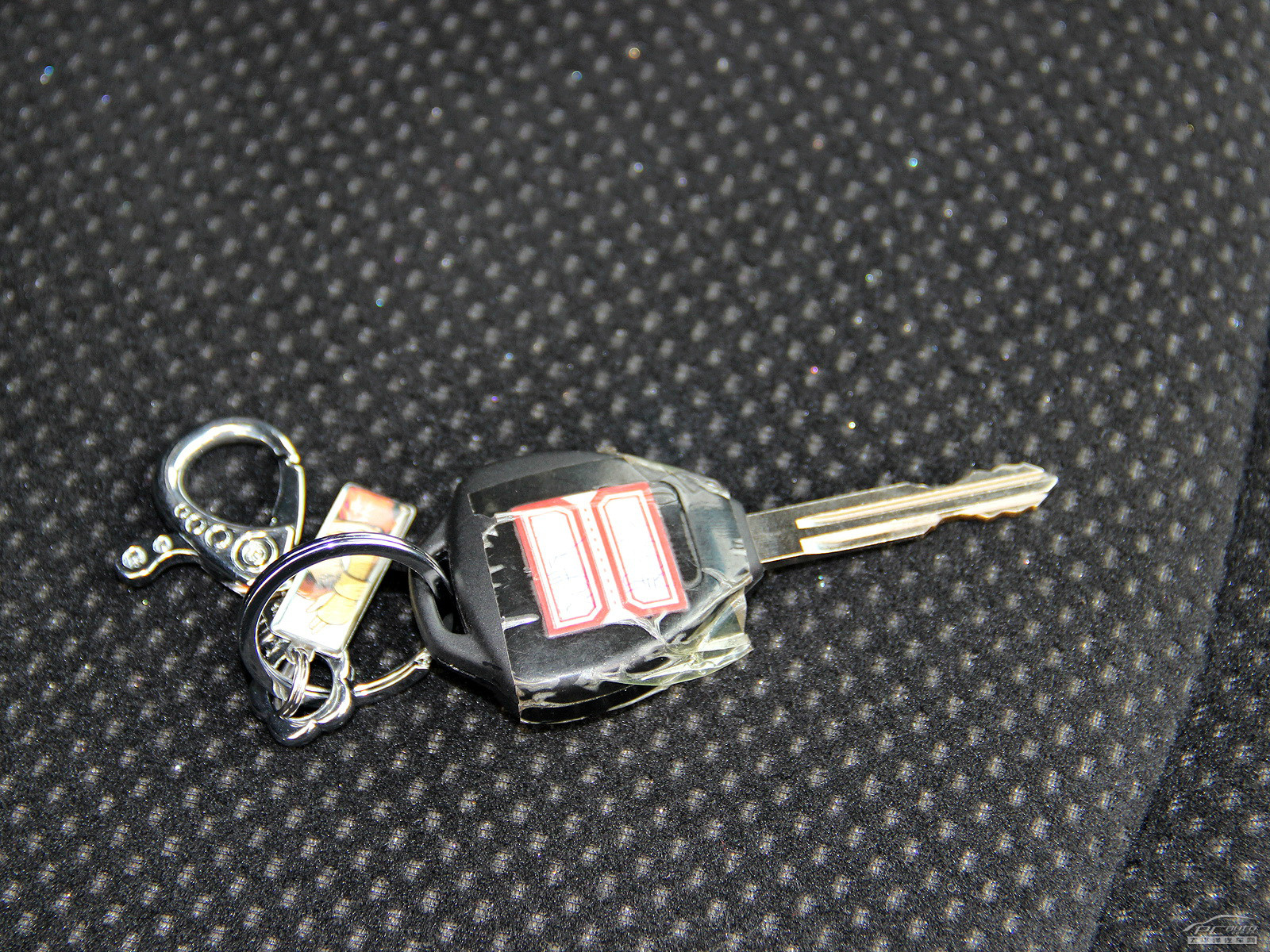 瑞鷹細節(jié)高清大圖