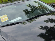 2013 2.0L (bio)(zhn)