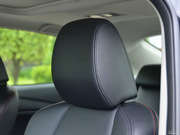 2013 2.0L (bio)(zhn)