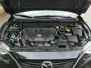 2013 2.0L (bio)(zhn)