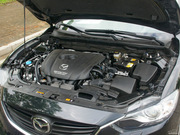 2013 2.0L (bio)(zhn)