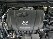 2013 2.0L (bio)(zhn)