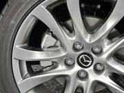 2013 2.0L (bio)(zhn)