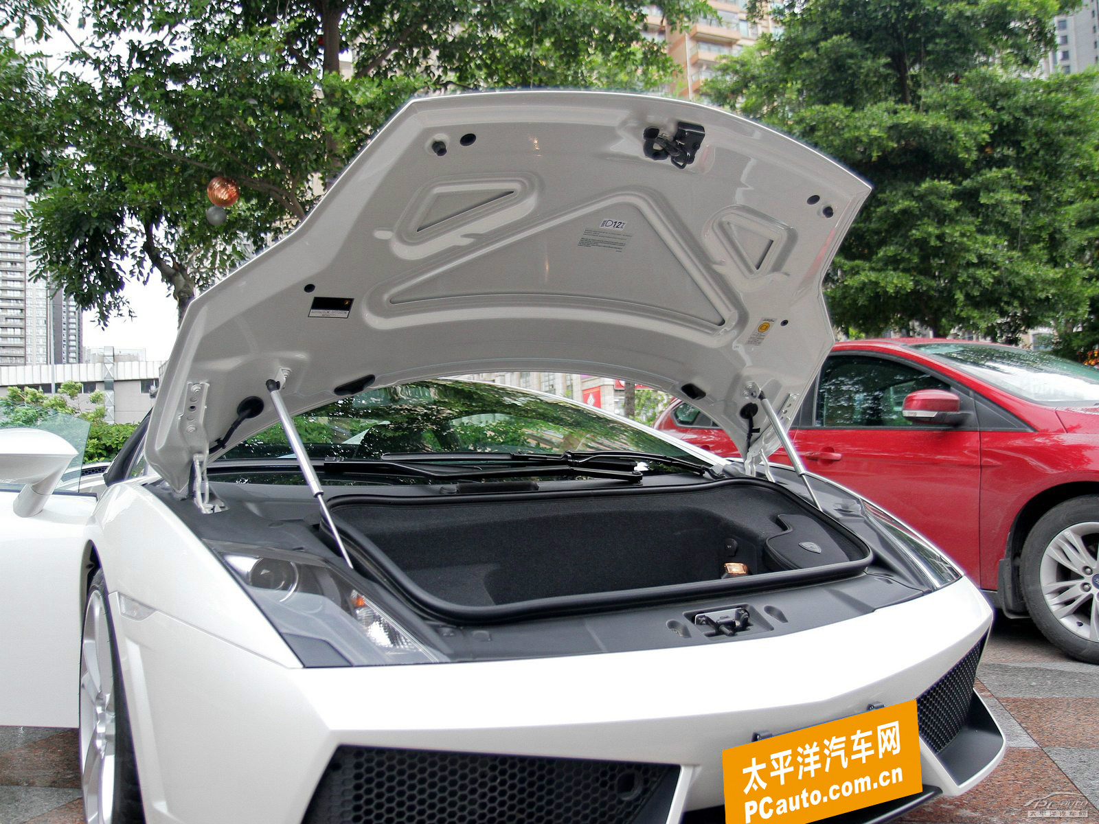 蓋拉多Gallardo細節(jié)高清大圖
