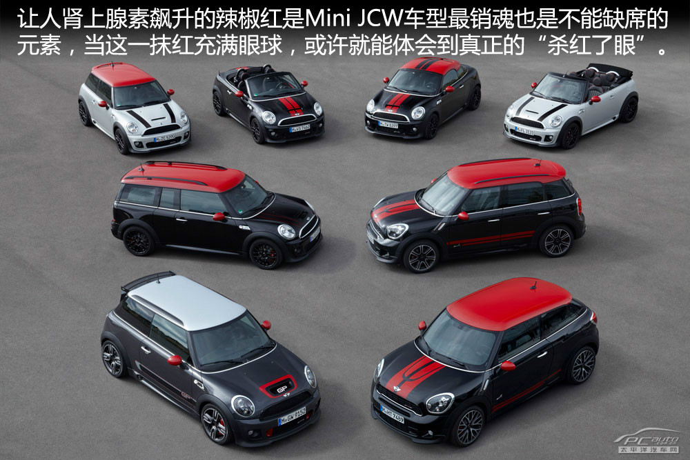 MINI PACEMAN圖解高清大圖