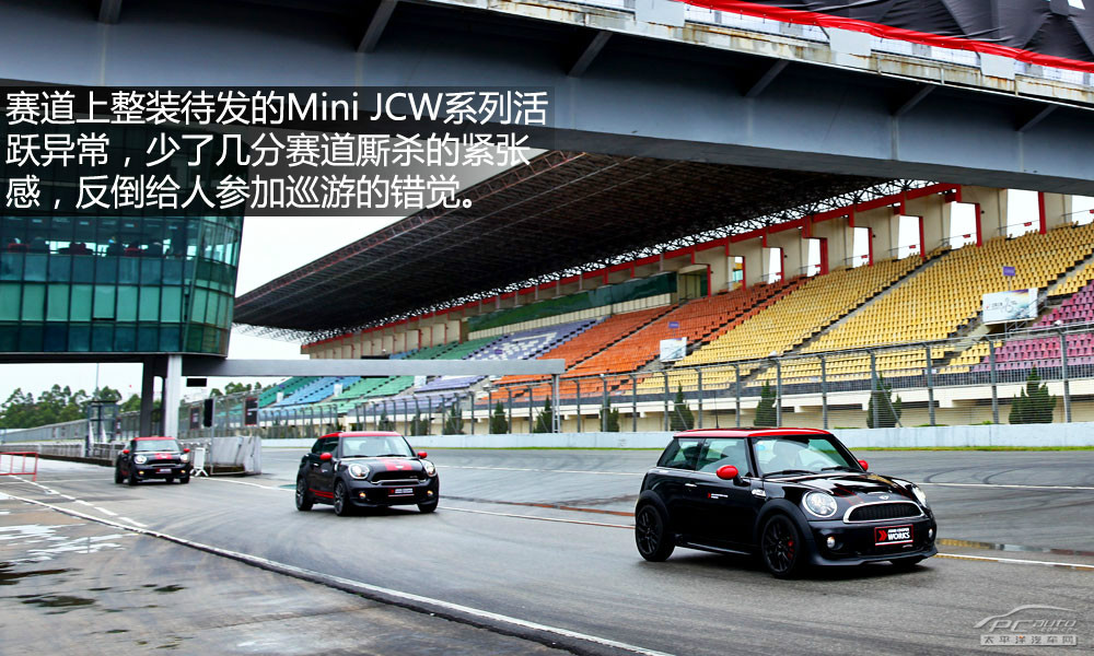 MINI PACEMAN圖解高清大圖