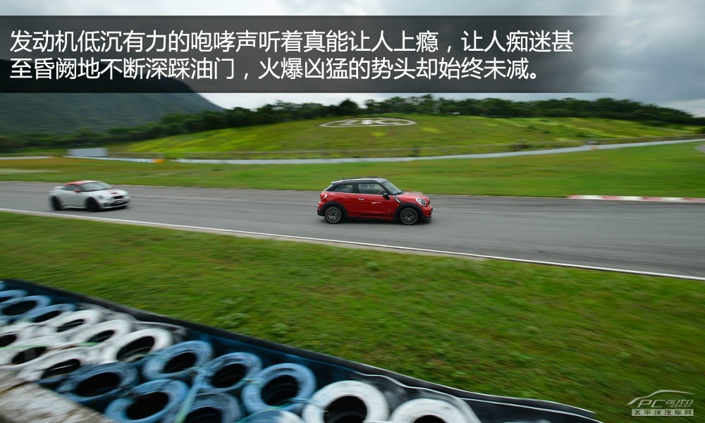 MINI PACEMAN圖解高清大圖