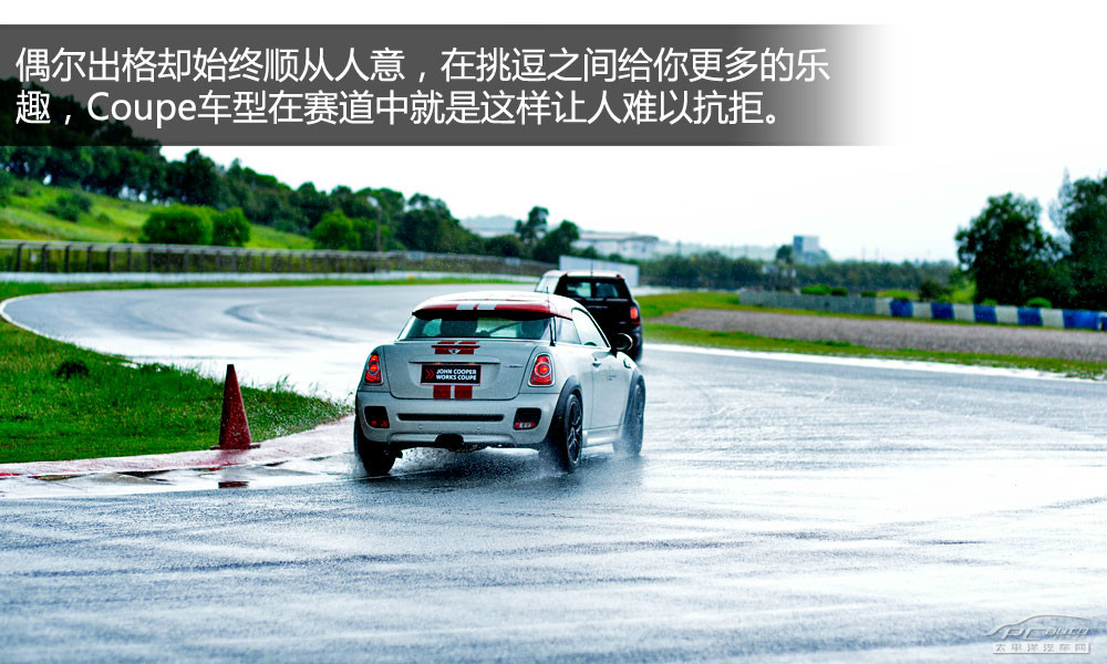 MINI PACEMAN圖解高清大圖